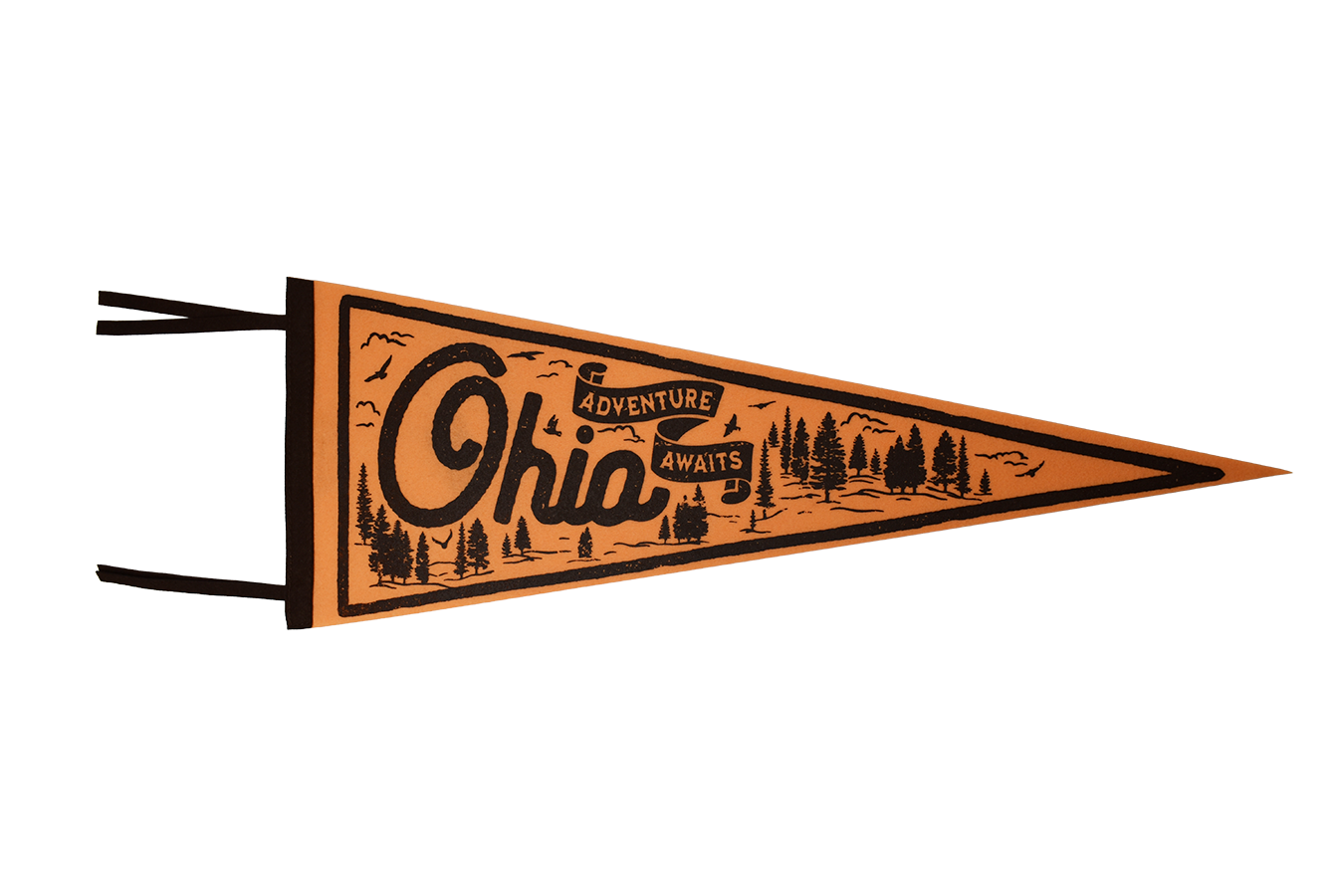 Ohio Adventure Awaits Pennant
